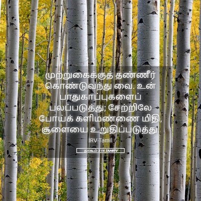 Picture 05 - நாகூம் 3:14 TAMIRV - முற்றுகைக்குத் - Bible Verse Picture
