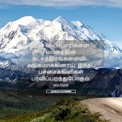 Picture 05 - நாகூம் 3:16 TAMIRV - உன் வியாபாரிகளை - Bible Verse Picture