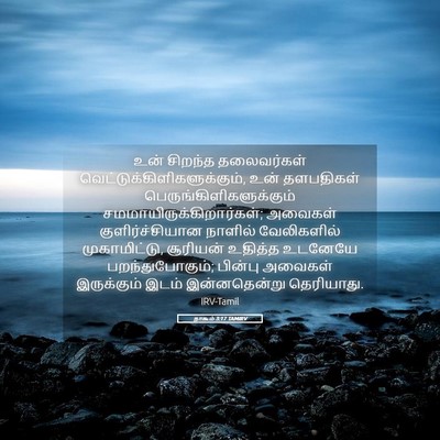 Picture 05 - நாகூம் 3:17 TAMIRV - உன் சிறந்த - Bible Verse Picture
