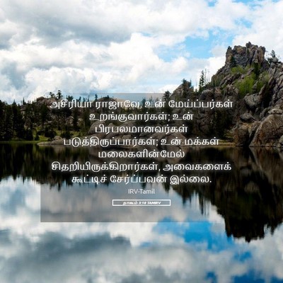 Picture 05 - நாகூம் 3:18 TAMIRV - அசீரியா ராஜாவே, - Bible Verse Picture