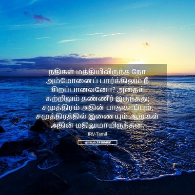 Picture 05 - நாகூம் 3:8 TAMIRV - நதிகள் - Bible Verse Picture