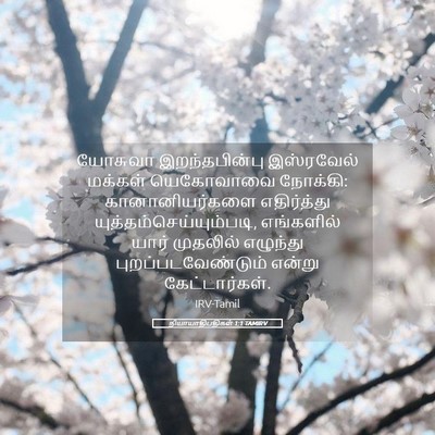 Picture 05 - நியாயாதிபதிகள் 1:1 TAMIRV - யோசுவா - Bible Verse Picture
