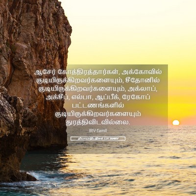 Picture 05 - நியாயாதிபதிகள் 1:31 TAMIRV - ஆசேர் - Bible Verse Picture
