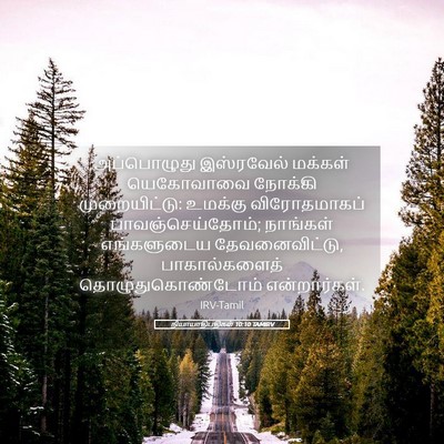 Picture 05 - நியாயாதிபதிகள் 10:10 TAMIRV - அப்பொழுது - Bible Verse Picture