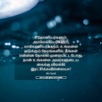 Picture 05 - நியாயாதிபதிகள் 10:12 TAMIRV - சீதோனியர்களும், - Bible Verse Picture