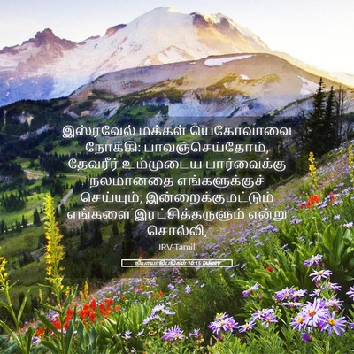 Picture 05 - நியாயாதிபதிகள் 10:15 TAMIRV - இஸ்ரவேல் மக்கள் - Bible Verse Picture