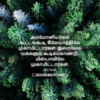 Picture 05 - நியாயாதிபதிகள் 10:17 TAMIRV - அம்மோனியர்கள் - Bible Verse Picture