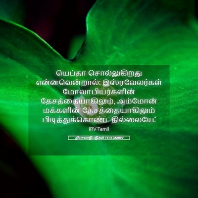 Picture 05 - நியாயாதிபதிகள் 11:15 TAMIRV - யெப்தா - Bible Verse Picture