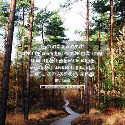 Picture 05 - நியாயாதிபதிகள் 11:16 TAMIRV - இஸ்ரவேலர்கள் - Bible Verse Picture