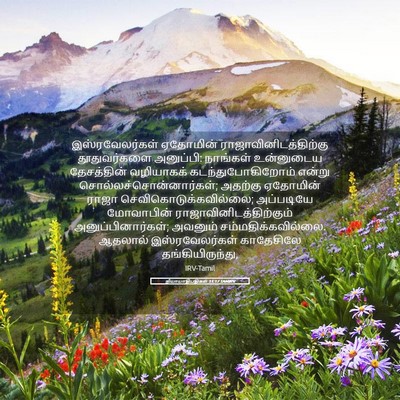 Picture 05 - நியாயாதிபதிகள் 11:17 TAMIRV - இஸ்ரவேலர்கள் - Bible Verse Picture