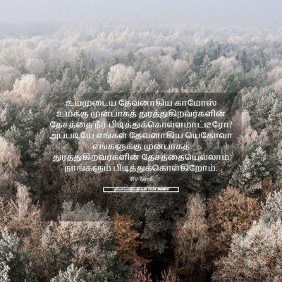 Picture 05 - நியாயாதிபதிகள் 11:24 TAMIRV - உம்முடைய தேவனாகிய - Bible Verse Picture