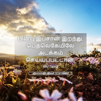 Picture 05 - நியாயாதிபதிகள் 12:10 TAMIRV - பின்பு இப்சான் - Bible Verse Picture