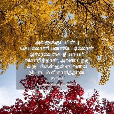 Picture 05 - நியாயாதிபதிகள் 12:11 TAMIRV - அவனுக்குப் பின்பு - Bible Verse Picture