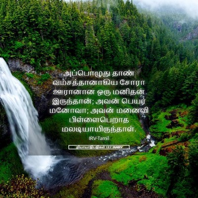 Picture 05 - நியாயாதிபதிகள் 13:2 TAMIRV - அப்பொழுது தாண் - Bible Verse Picture