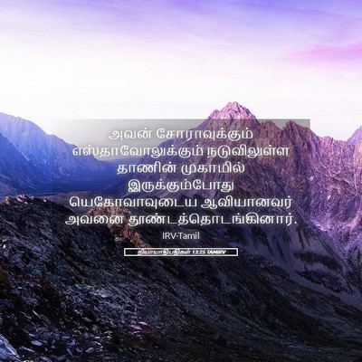 Picture 05 - நியாயாதிபதிகள் 13:25 TAMIRV - அவன் சோராவுக்கும் - Bible Verse Picture