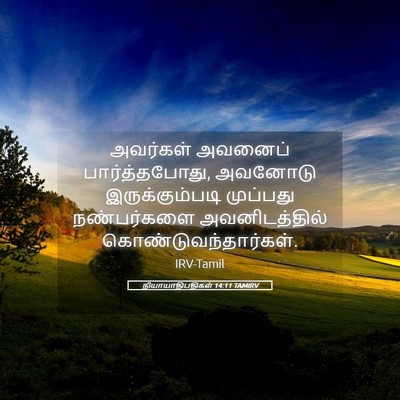 Picture 05 - நியாயாதிபதிகள் 14:11 TAMIRV - அவர்கள் அவனைப் - Bible Verse Picture