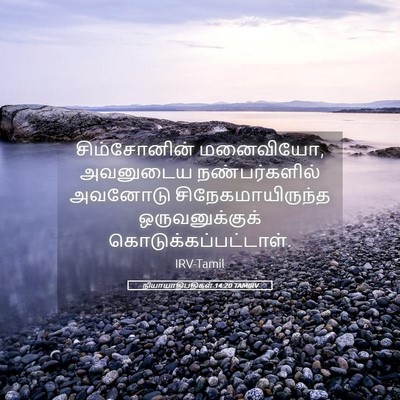 Picture 05 - நியாயாதிபதிகள் 14:20 TAMIRV - சிம்சோனின் - Bible Verse Picture