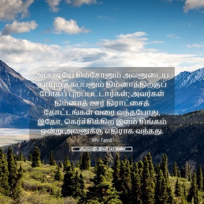 Picture 05 - நியாயாதிபதிகள் 14:5 TAMIRV - அப்படியே - Bible Verse Picture