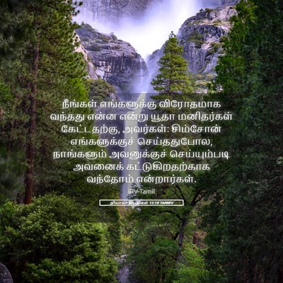 Picture 05 - நியாயாதிபதிகள் 15:10 TAMIRV - நீங்கள் - Bible Verse Picture