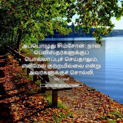 Picture 05 - நியாயாதிபதிகள் 15:3 TAMIRV - அப்பொழுது - Bible Verse Picture