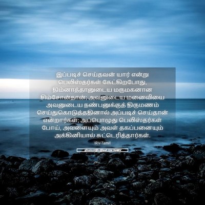 Picture 05 - நியாயாதிபதிகள் 15:6 TAMIRV - இப்படிச் செய்தவன் - Bible Verse Picture