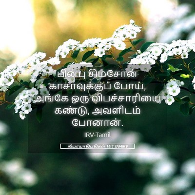 Picture 05 - நியாயாதிபதிகள் 16:1 TAMIRV - பின்பு சிம்சோன் - Bible Verse Picture