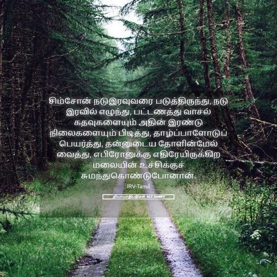 Picture 05 - நியாயாதிபதிகள் 16:3 TAMIRV - சிம்சோன் - Bible Verse Picture