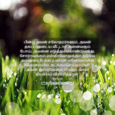 Picture 05 - நியாயாதிபதிகள் 16:31 TAMIRV - பின்பு அவன் - Bible Verse Picture