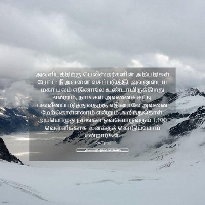 Picture 05 - நியாயாதிபதிகள் 16:5 TAMIRV - அவளிடத்திற்கு - Bible Verse Picture