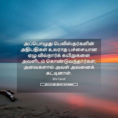 Picture 05 - நியாயாதிபதிகள் 16:8 TAMIRV - அப்பொழுது - Bible Verse Picture
