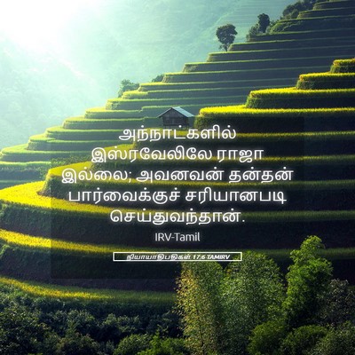 Picture 05 - நியாயாதிபதிகள் 17:6 TAMIRV - அந்நாட்களில் - Bible Verse Picture