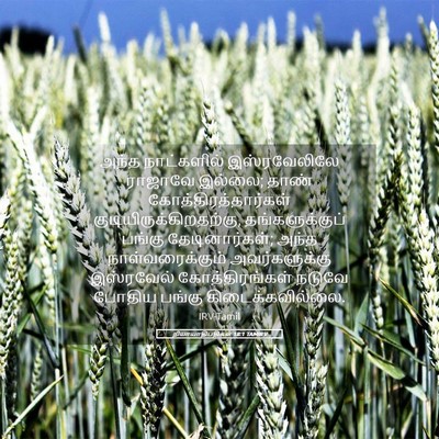 Picture 05 - நியாயாதிபதிகள் 18:1 TAMIRV - அந்த நாட்களில் - Bible Verse Picture