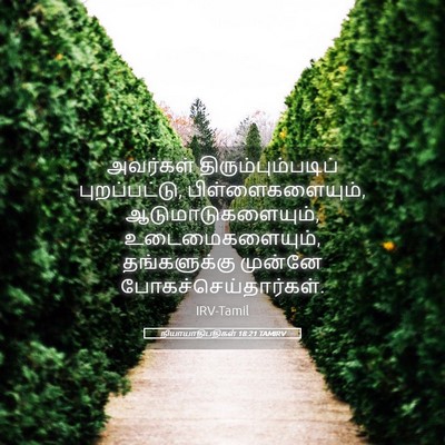 Picture 05 - நியாயாதிபதிகள் 18:21 TAMIRV - அவர்கள் - Bible Verse Picture