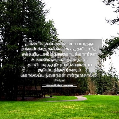 Picture 05 - நியாயாதிபதிகள் 18:25 TAMIRV - தாண் மக்கள் - Bible Verse Picture