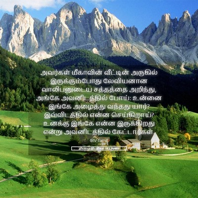 Picture 05 - நியாயாதிபதிகள் 18:3 TAMIRV - அவர்கள் மீகாவின் - Bible Verse Picture