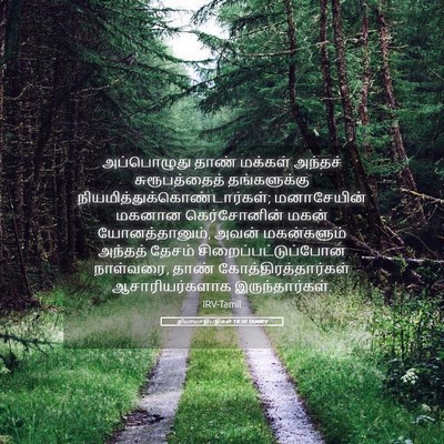 Picture 05 - நியாயாதிபதிகள் 18:30 TAMIRV - அப்பொழுது தாண் - Bible Verse Picture