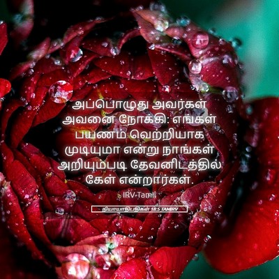 Picture 05 - நியாயாதிபதிகள் 18:5 TAMIRV - அப்பொழுது அவர்கள் - Bible Verse Picture
