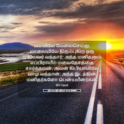 Picture 05 - நியாயாதிபதிகள் 19:16 TAMIRV - வயலிலே - Bible Verse Picture
