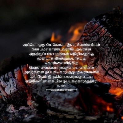 Picture 05 - நியாயாதிபதிகள் 2:14 TAMIRV - அப்பொழுது யெகோவா - Bible Verse Picture