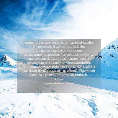 Picture 05 - நியாயாதிபதிகள் 2:17 TAMIRV - அவர்கள் தங்களுடைய - Bible Verse Picture
