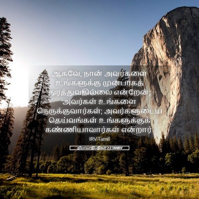 Picture 05 - நியாயாதிபதிகள் 2:3 TAMIRV - ஆகவே, நான் அவர்களை - Bible Verse Picture