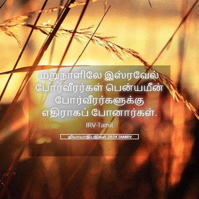Picture 05 - நியாயாதிபதிகள் 20:24 TAMIRV - மறுநாளிலே - Bible Verse Picture