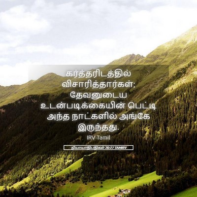 Picture 05 - நியாயாதிபதிகள் 20:27 TAMIRV - கர்த்தரிடத்தில் - Bible Verse Picture