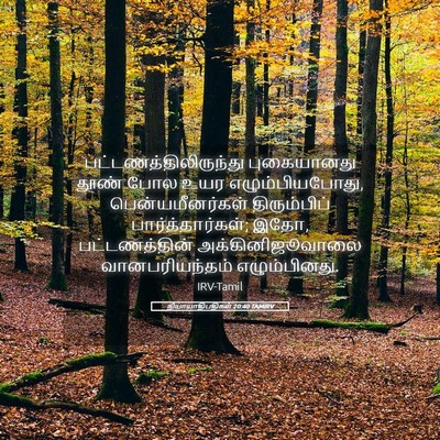 Picture 05 - நியாயாதிபதிகள் 20:40 TAMIRV -  - Bible Verse Picture