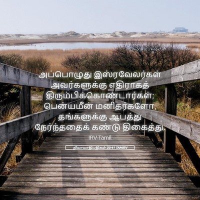 Picture 05 - நியாயாதிபதிகள் 20:41 TAMIRV - அப்பொழுது - Bible Verse Picture