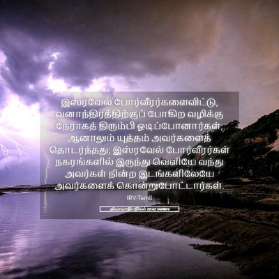 Picture 05 - நியாயாதிபதிகள் 20:42 TAMIRV - இஸ்ரவேல் - Bible Verse Picture