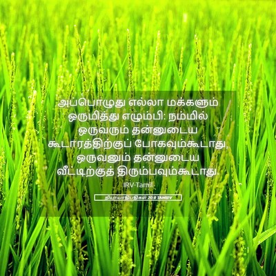 Picture 05 - நியாயாதிபதிகள் 20:8 TAMIRV - அப்பொழுது எல்லா - Bible Verse Picture