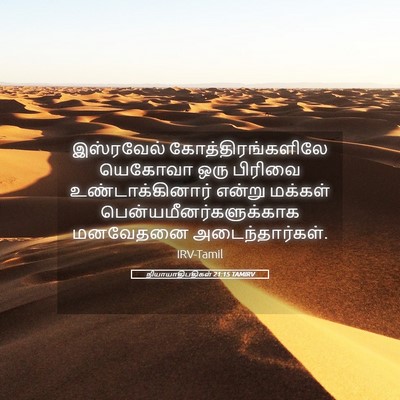 Picture 05 - நியாயாதிபதிகள் 21:15 TAMIRV - இஸ்ரவேல் - Bible Verse Picture