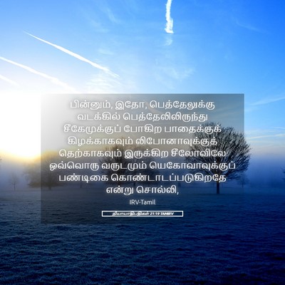 Picture 05 - நியாயாதிபதிகள் 21:19 TAMIRV - பின்னும், இதோ, - Bible Verse Picture