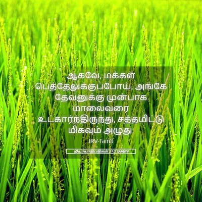 Picture 05 - நியாயாதிபதிகள் 21:2 TAMIRV - ஆகவே, மக்கள் - Bible Verse Picture